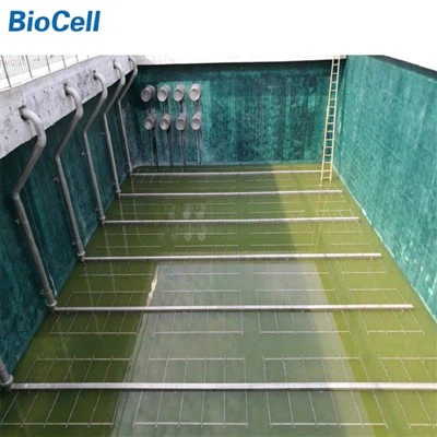 Šiurkštūs burbulų difuzorių nuotekos